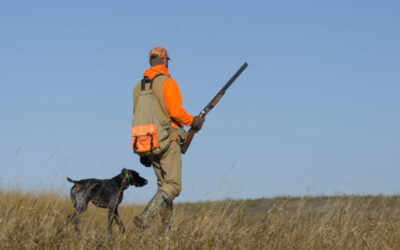 Is Your Body Ready for Hunting?